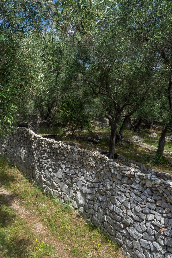 Villa Elaia Suites & Apartments No.7 Gaios Luaran gambar